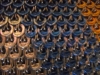 5-cape_closeup